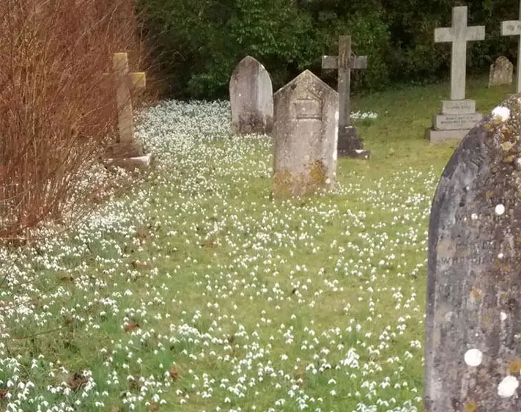 east-dean-5-church-pics-thorngate-and-blackwater-churches east-dean-5-church-pics-thorngate-and-blackwater-churches